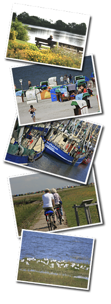 Freizeit, Urlaub, Nessmersiel, Hunde willkommen, Ferienwohnung an der Nordseekueste, Deichn�he, Hundestrand vorhanden, Ferienwohnung, Strandn�he, ostfriesische Nordseekueste, Ferienwohnung, Ne�mersiel, Erholung pur an der Nordseekueste